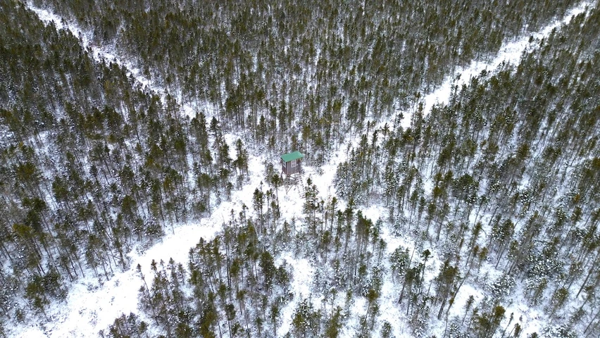 Nearby Listing Image