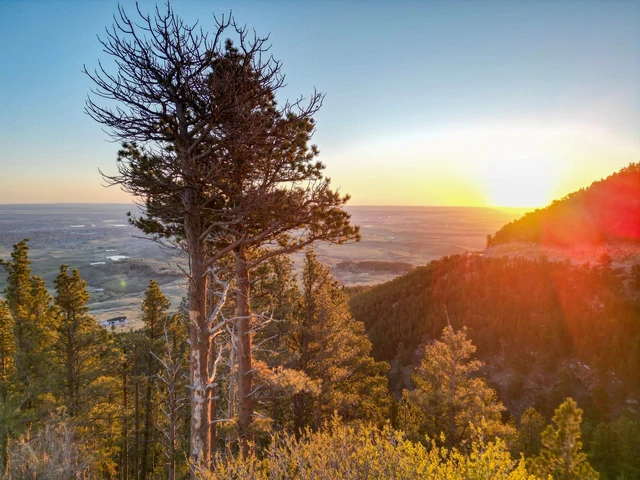 Nearby Listing Image