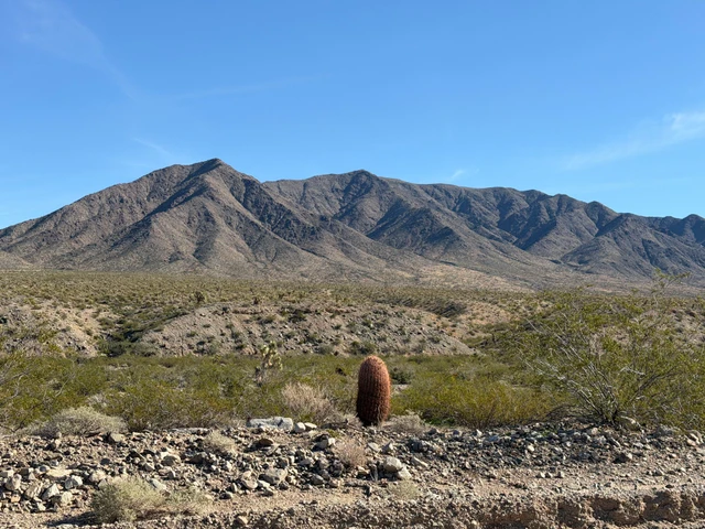 Nearby Listing Image