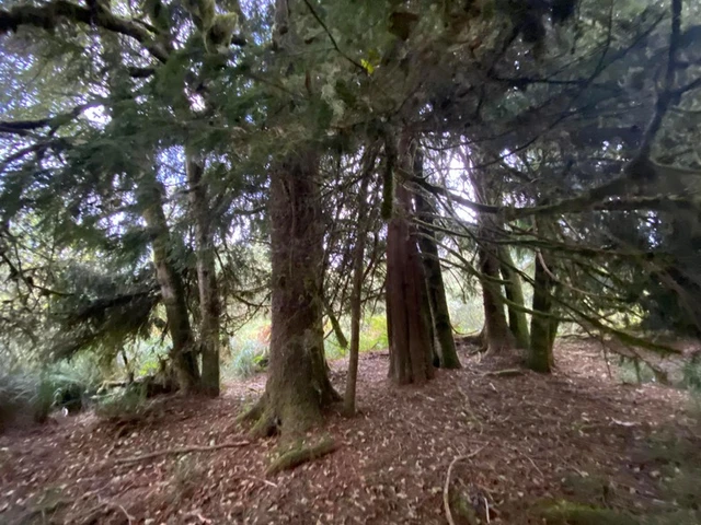 Nearby Listing Image