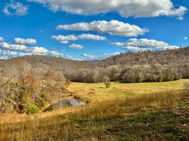 Nearby Listing Image