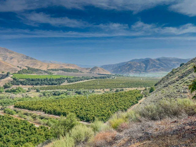 Nearby Listing Image