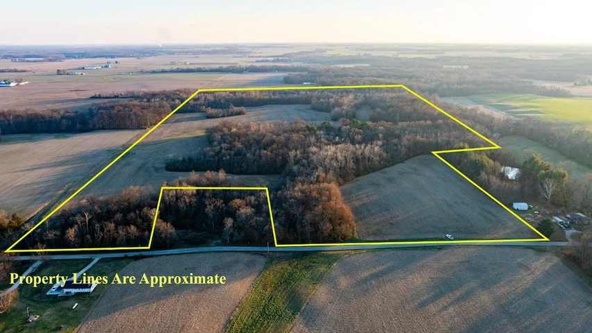 Nearby Listing Image