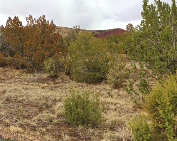 Nearby Listing Image