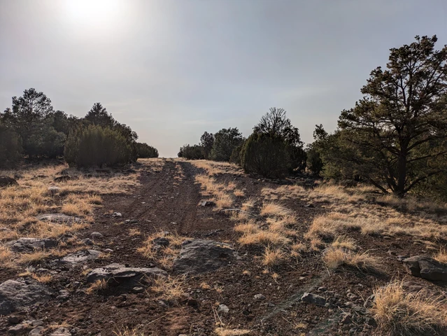 Nearby Listing Image