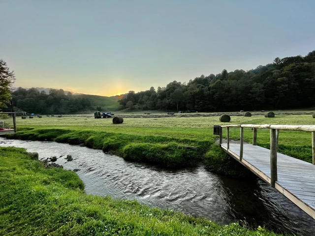 Nearby Listing Image