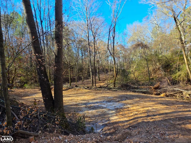 Nearby Listing Image