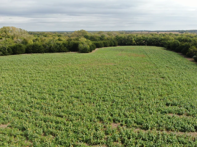 Nearby Listing Image