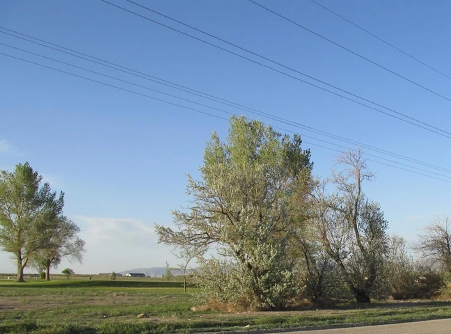 Nearby Listing Image