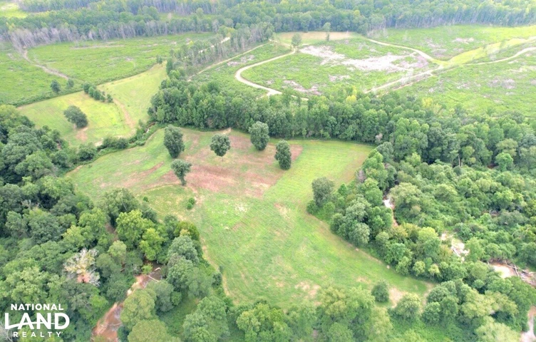 Nearby Listing Image