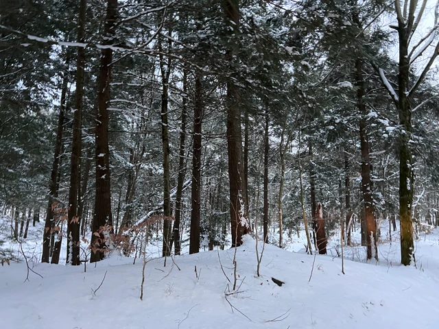 Nearby Listing Image