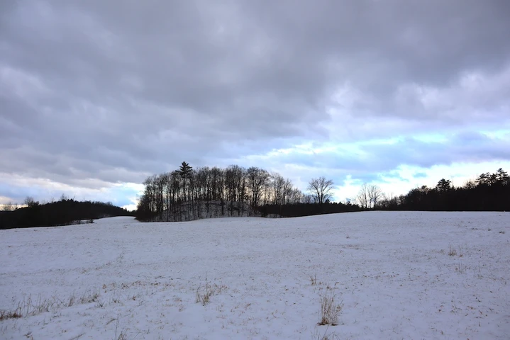 Nearby Listing Image