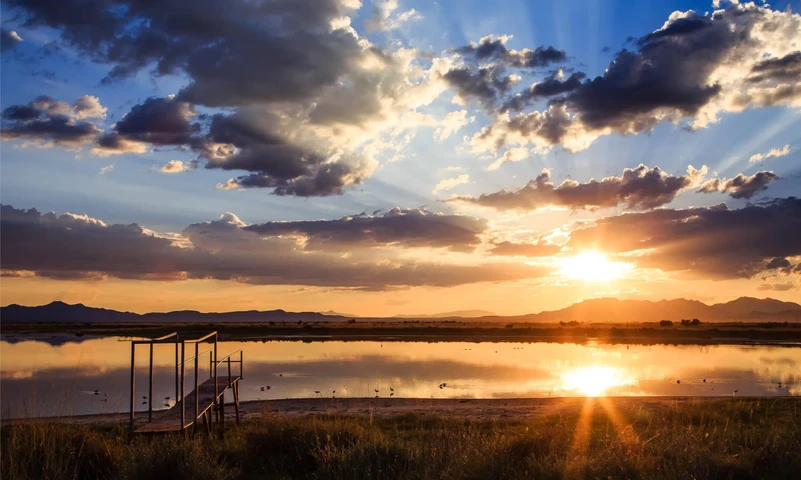 Nearby Listing Image