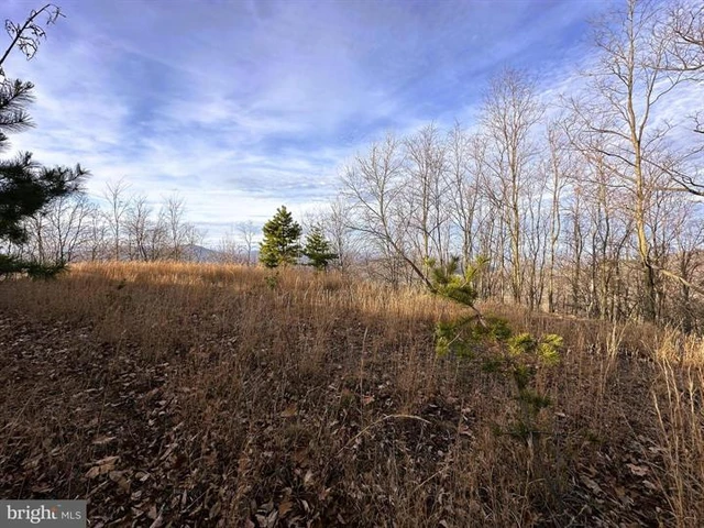 Nearby Listing Image