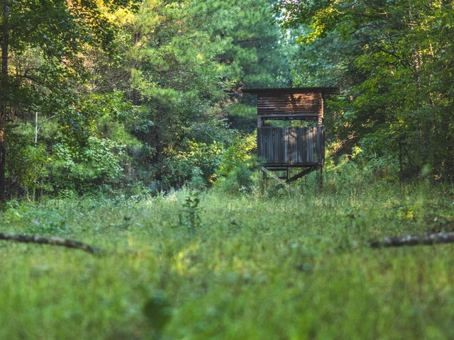 Nearby Listing Image