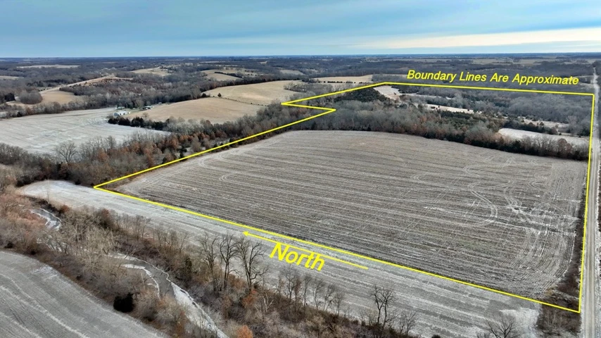 Nearby Listing Image