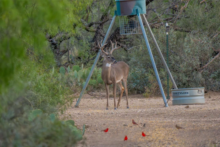 Nearby Listing Image