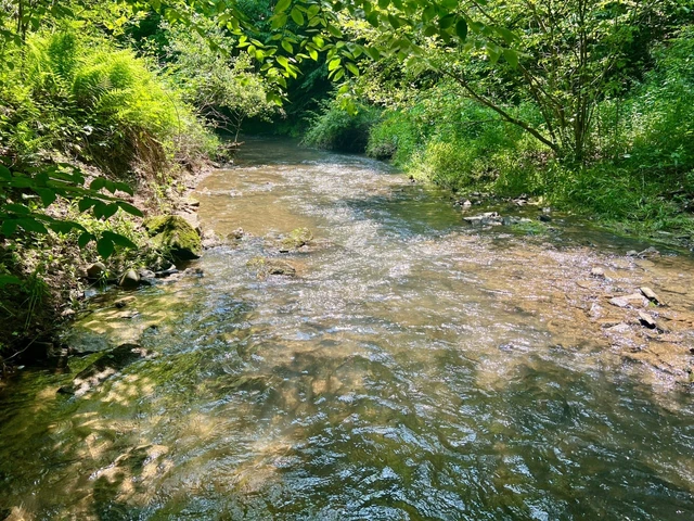 Nearby Listing Image