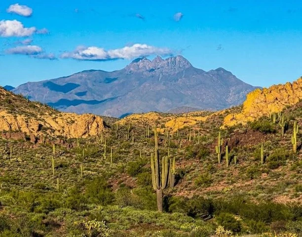 Nearby Listing Image