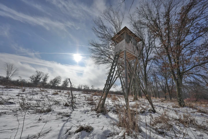 Nearby Listing Image