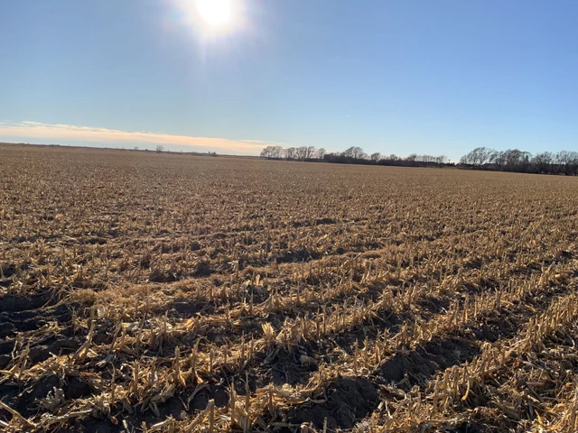 Nearby Listing Image