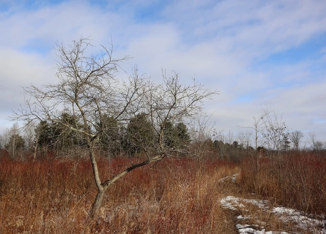 Nearby Listing Image