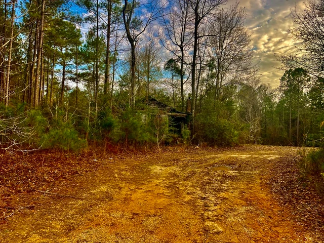 Nearby Listing Image