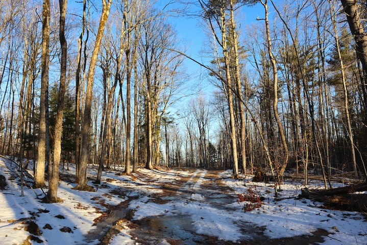 Nearby Listing Image