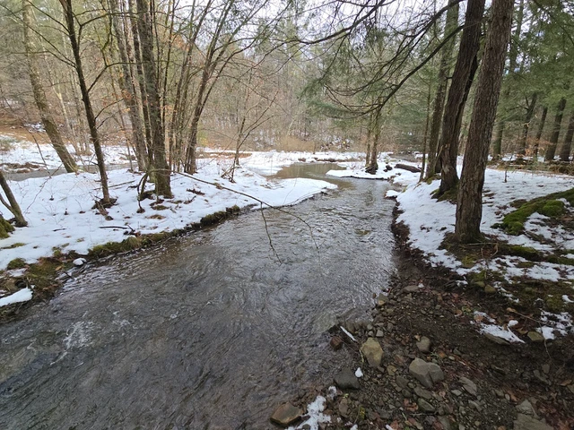 Nearby Listing Image