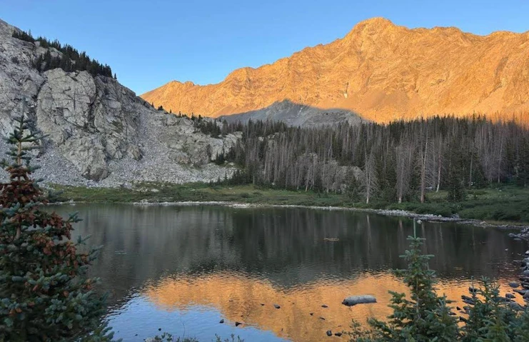 Nearby Listing Image