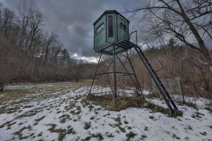 Nearby Listing Image