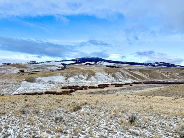 Nearby Listing Image