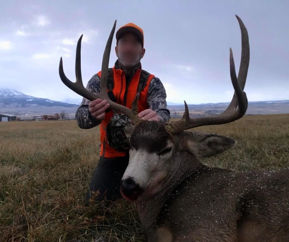 Nearby Listing Image