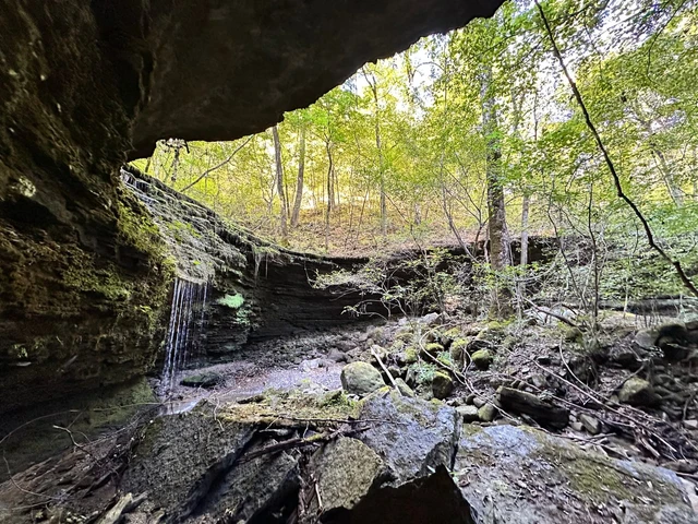 Nearby Listing Image