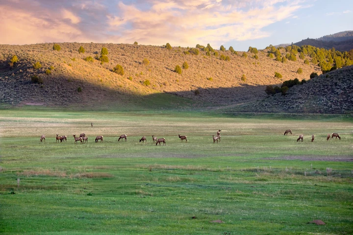 Nearby Listing Image