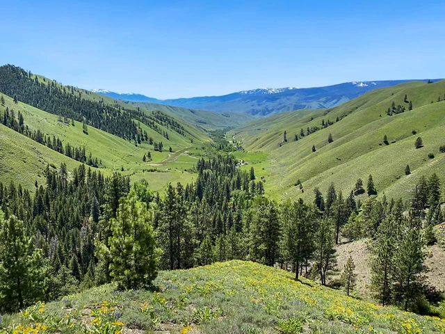 Nearby Listing Image