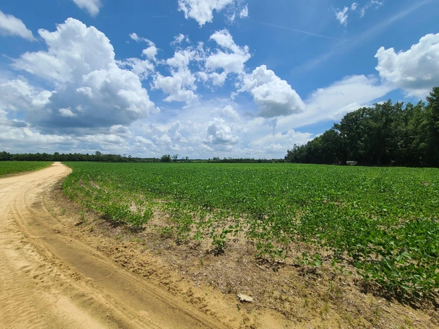 Nearby Listing Image