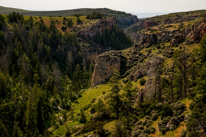 Nearby Listing Image