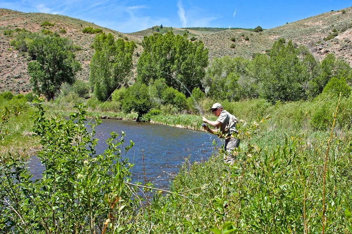 Nearby Listing Image