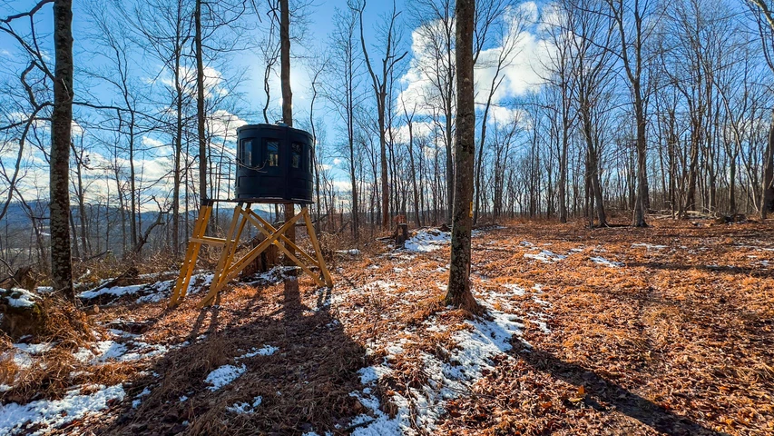 Nearby Listing Image