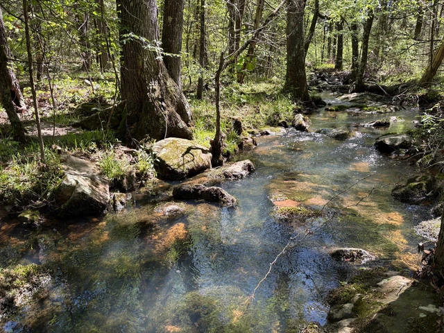 Nearby Listing Image