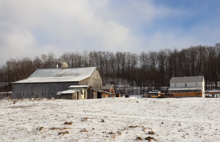 Nearby Listing Image