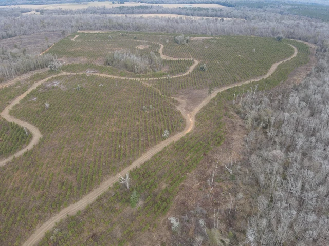 Nearby Listing Image