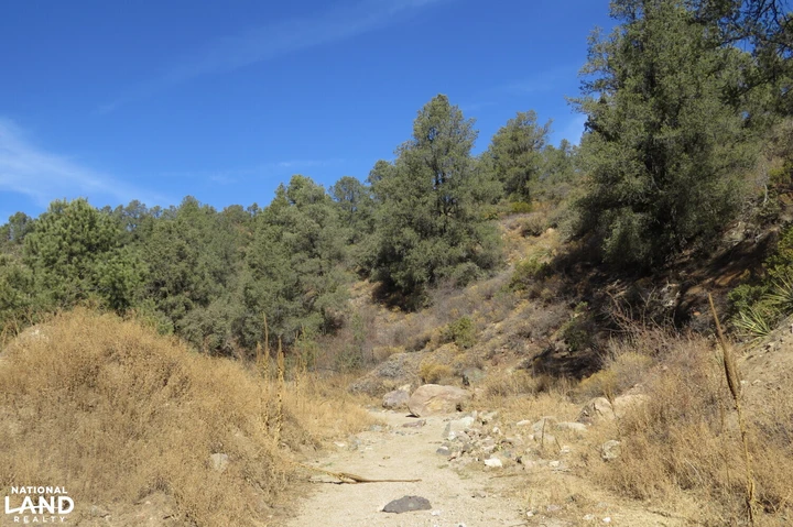 Nearby Listing Image