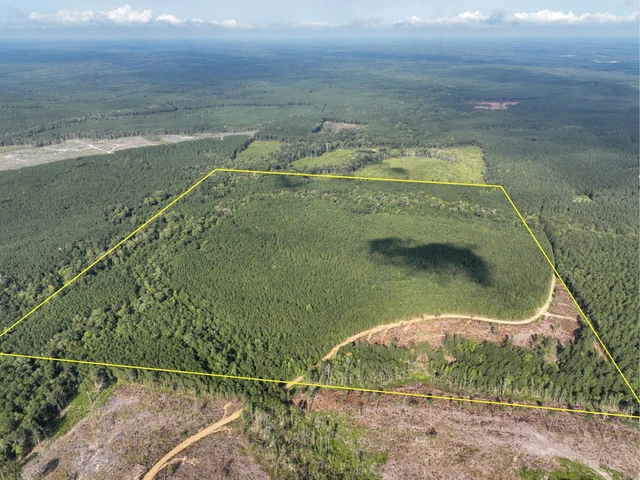 Nearby Listing Image