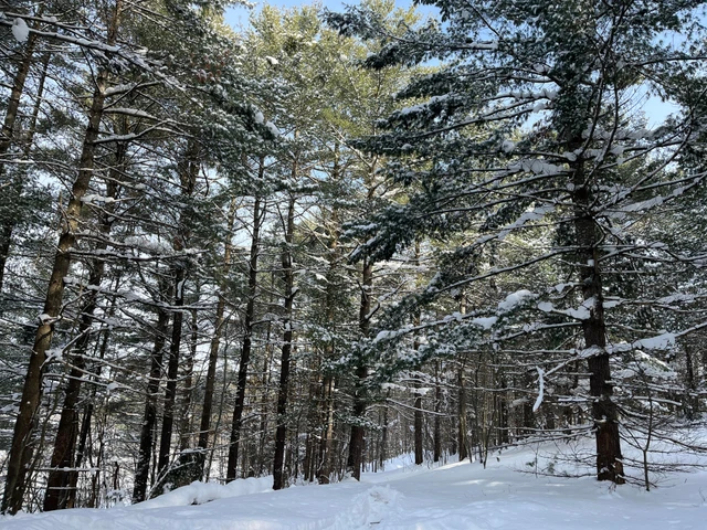 Nearby Listing Image