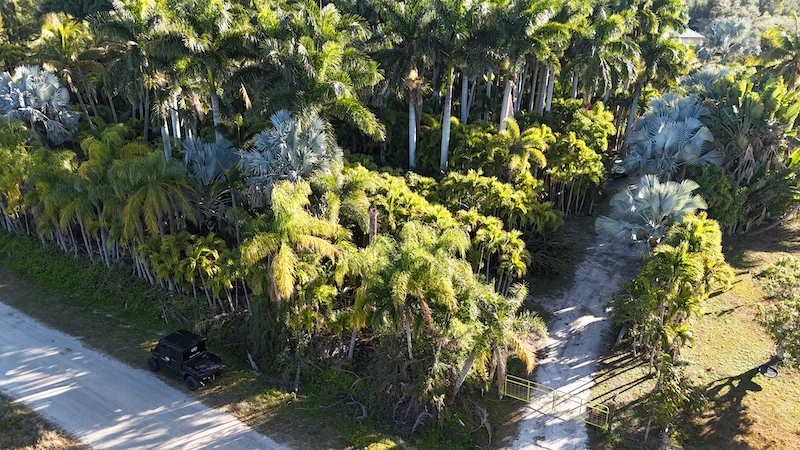 Nearby Listing Image