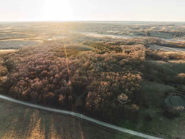 Nearby Listing Image