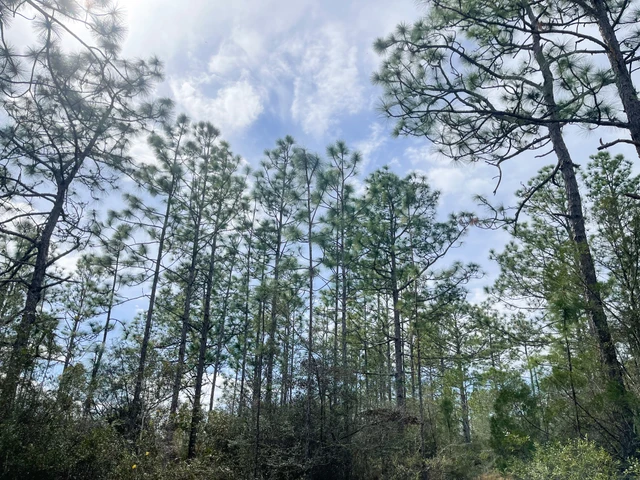 Nearby Listing Image