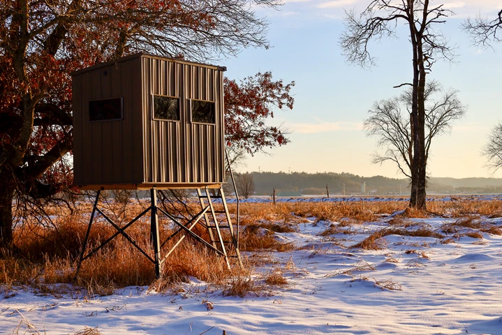 Nearby Listing Image